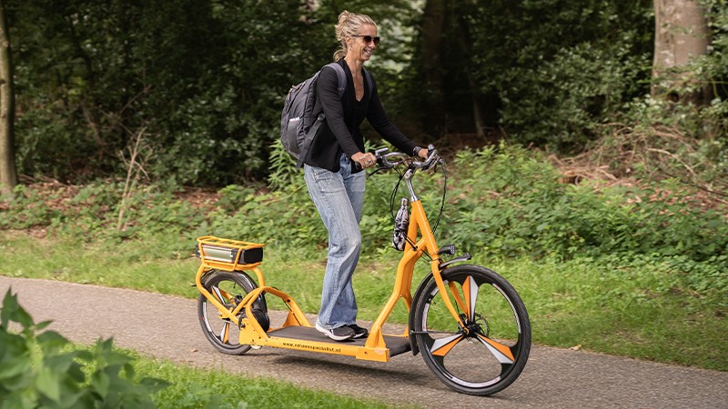 E-bike Activity / Day out E-bike on the Veluwe