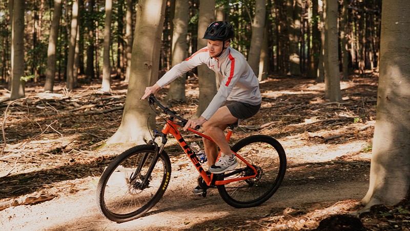 Mountain biking Activity / Day out Mountain biking on the Veluwe