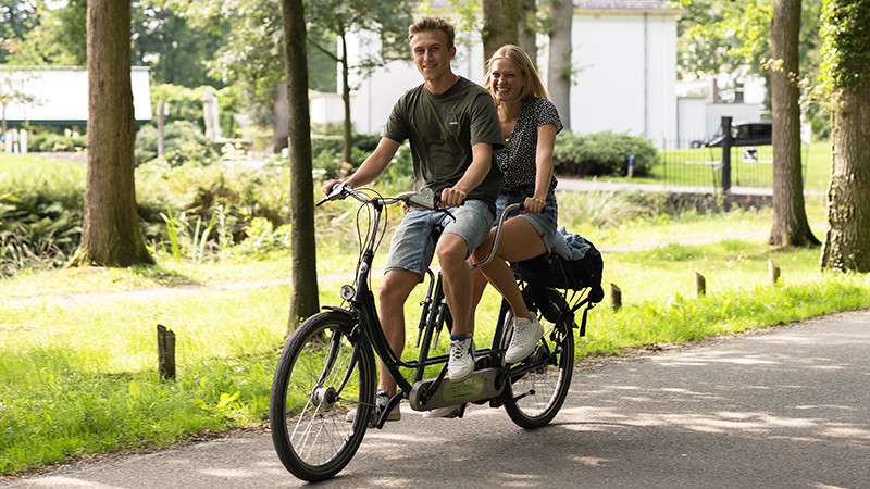 Tandem tour Activity / Day trip Tandem ride on the Veluwe