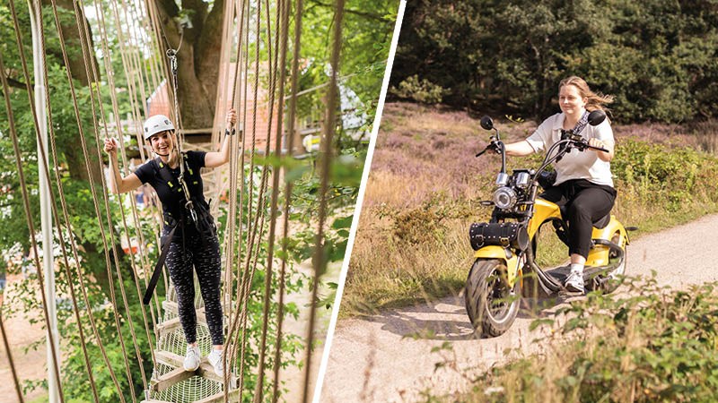 You guys can go fuck yourselves! Activity / Day Trip: "Climb a Tree!" in the Veluwe