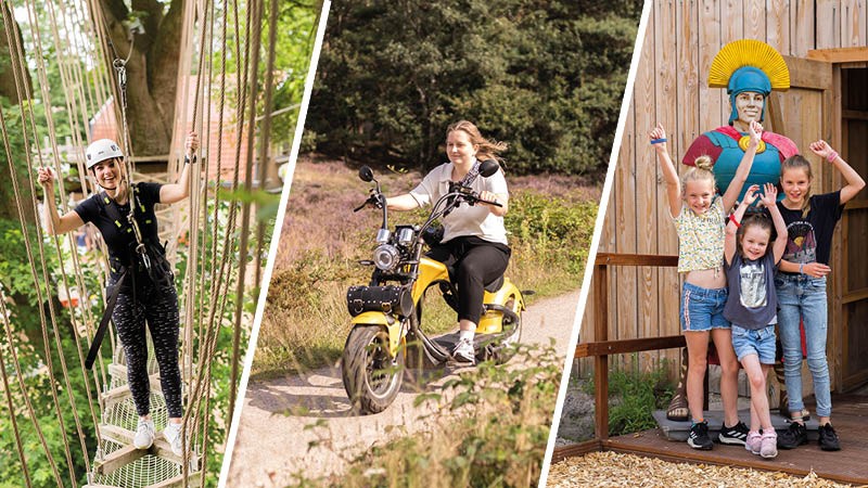Play - relax - be active Activity / Day Trip: Play, Relax, and Be Active in the Veluwe