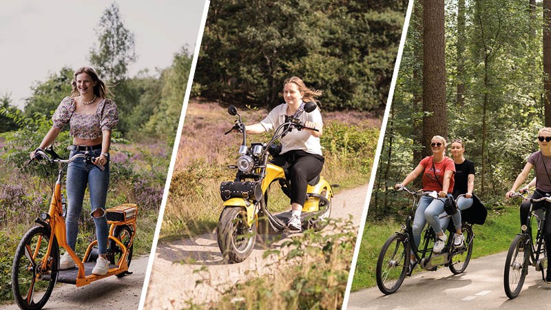 Means of transportation in the mix! Activity / Day Trip: A Mix of Transportation Options! in the Veluwe