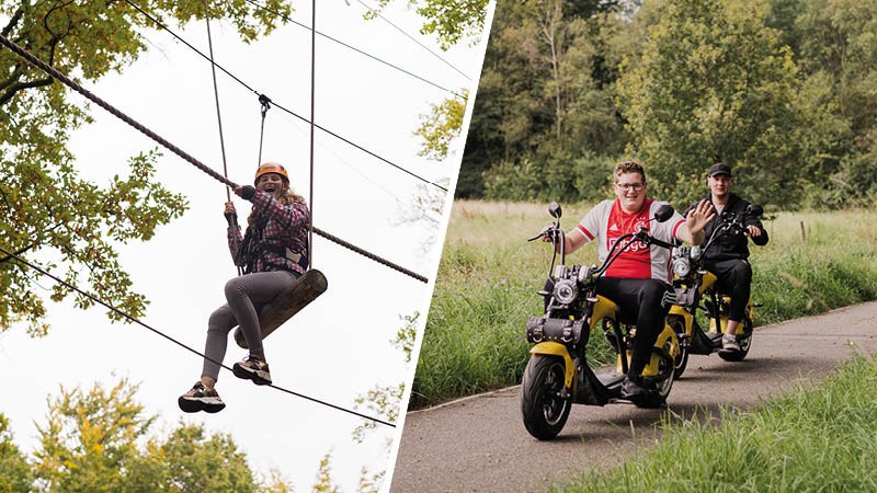 All-in the family Activity / Day Trip: All-in-the-Family in the Veluwe