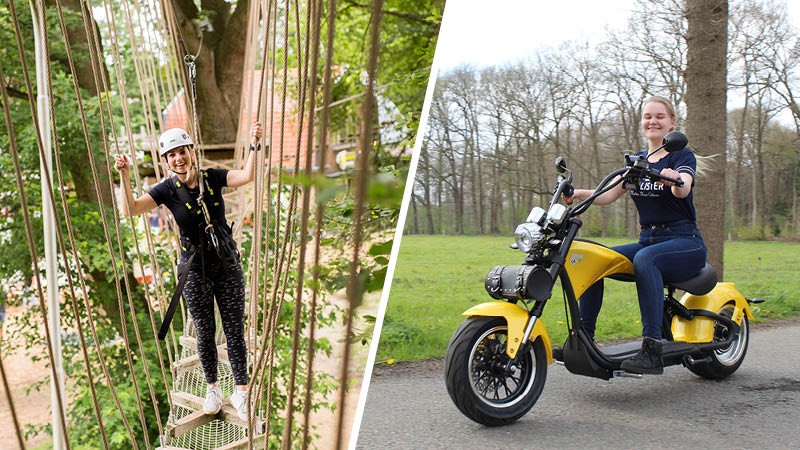 Adventure in nature Activity / Day Trip: Adventure in Nature in the Veluwe